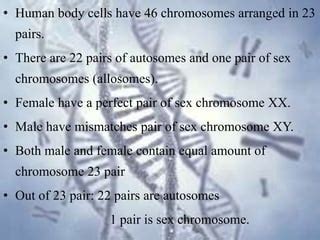 who have a perfect pair of sex chromosomes